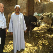 Allyn Lamb Volunteer Egypt